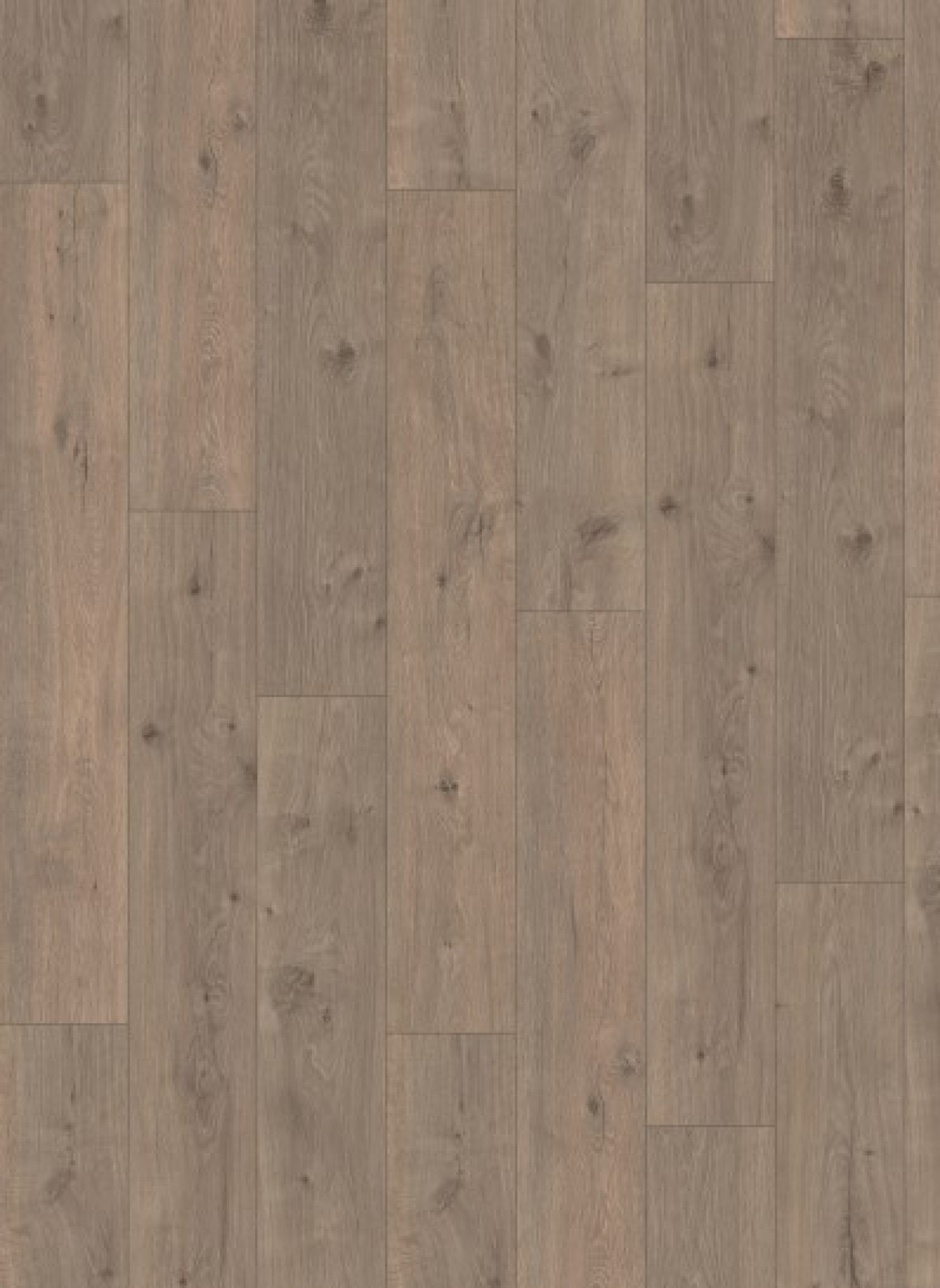 Laminaat Tavora Mist Oak